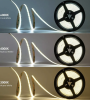 LED стрічка 24В СОВ320 12Вт 1200Лм Білий Денний 5500-6000K IP20 8мм